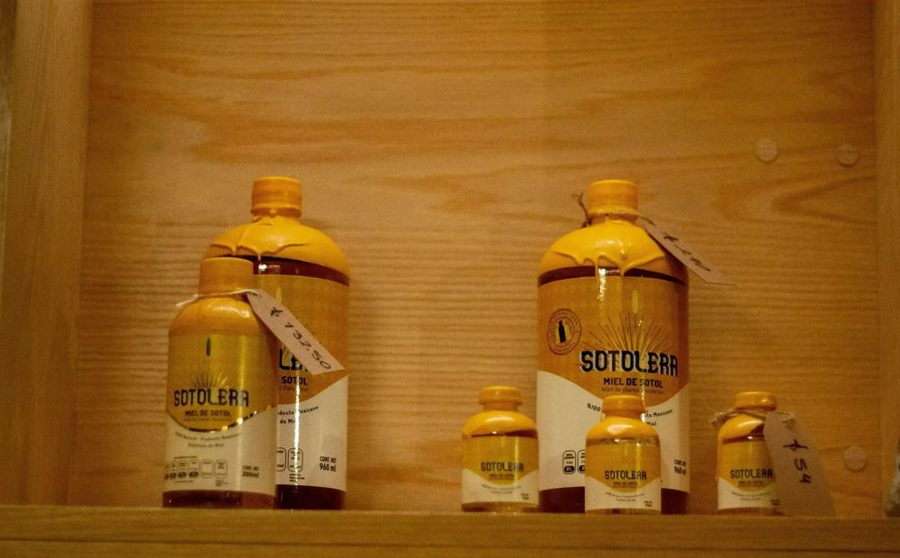 Sotol: el espíritu del desierto que no es ni mezcal ni tequila