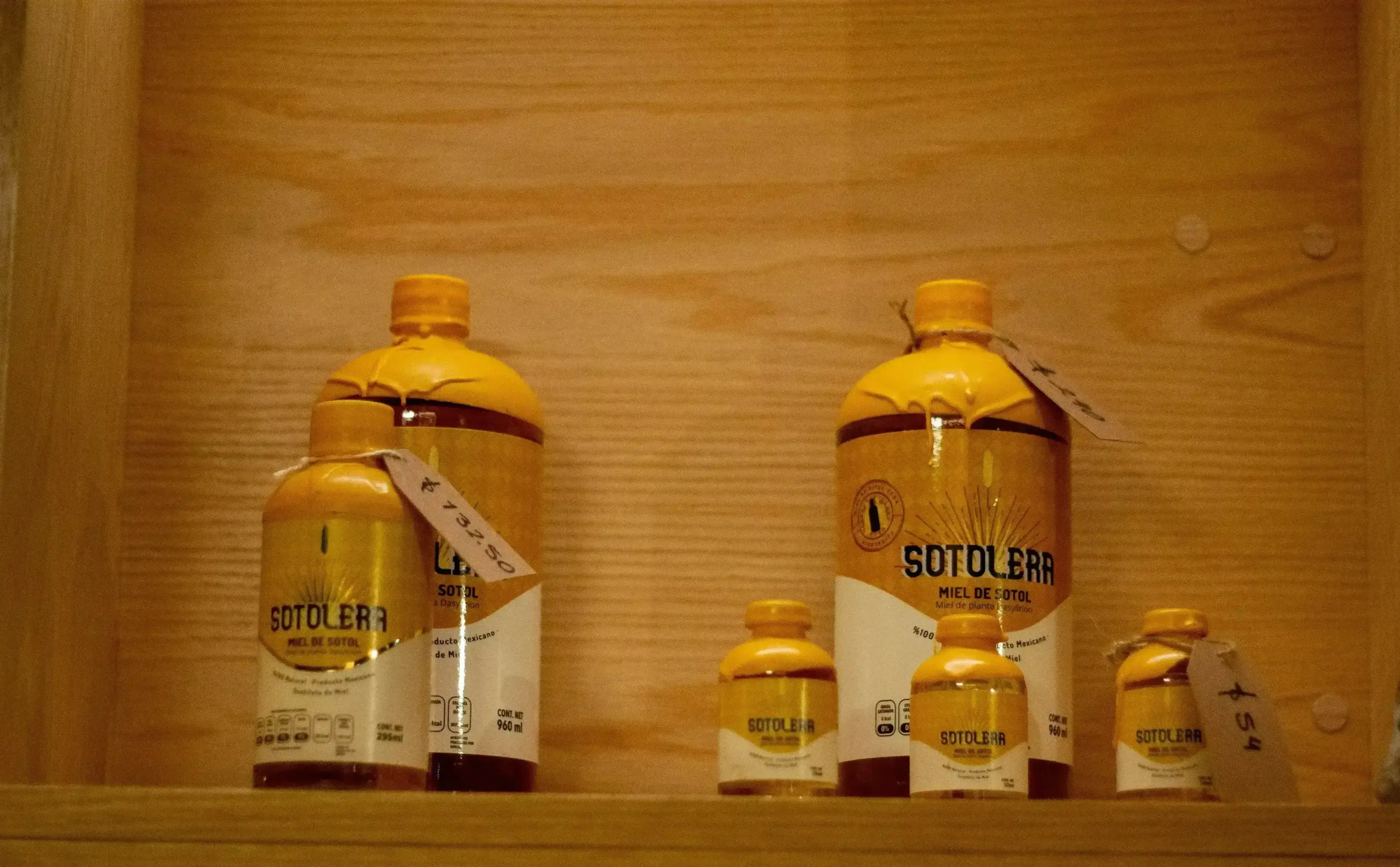 Sotol: el espíritu del desierto que no es ni mezcal ni tequila
