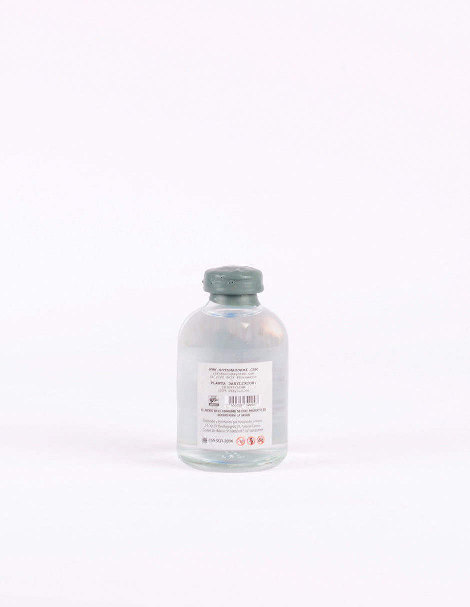 Sotol Sotomayor Texanum Blanco 48º